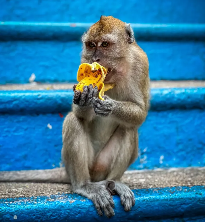 Travel photograph 8 by Ridhi Koner